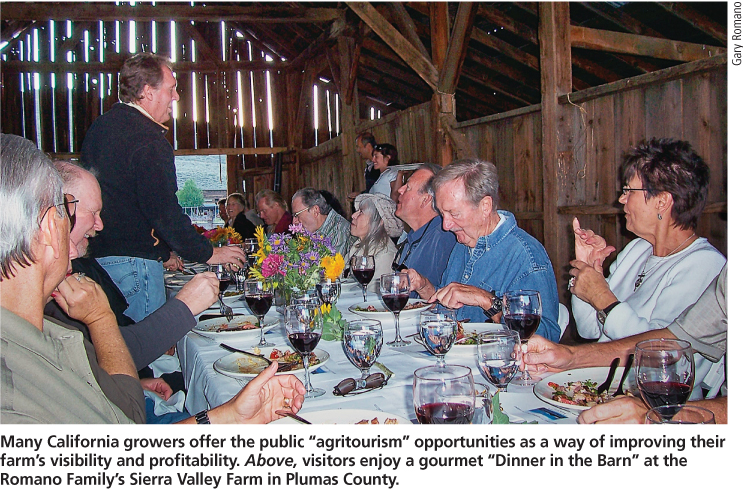 Many California growers offer the public “agritourism” opportunities as a way of improving their farm's visibility and profitability. Above, visitors enjoy a gourmet “Dinner in the Barn” at the Romano Family's Sierra Valley Farm in Plumas County.