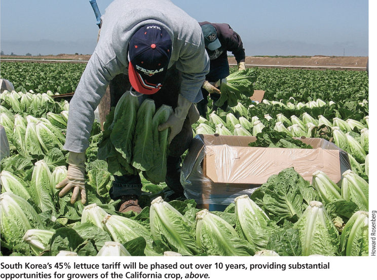 South Korea's 45% lettuce tariff will be phased out over 10 years, providing substantial opportunities for growers of the California crop, above.