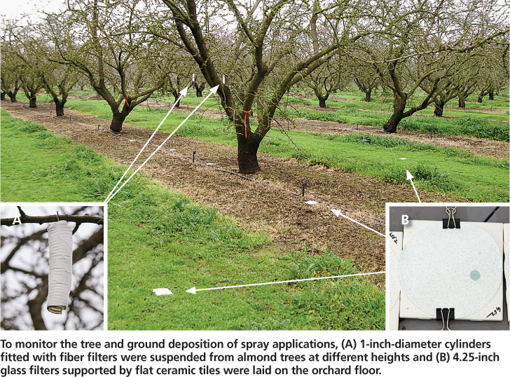 To monitor the tree and ground deposition of spray applications, (A) 1-inch-diameter cylinders fitted with fiber filters were suspended from almond trees at different heights and (B) 4.25-inch glass filters supported by flat ceramic tiles were laid on the orchard floor.