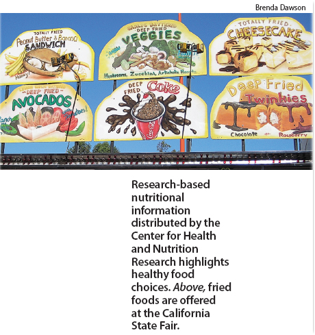 Research-based nutritional information distributed by the Center for Health and Nutrition Research highlights healthy food choices. Above, fried foods are offered at the California State Fair.