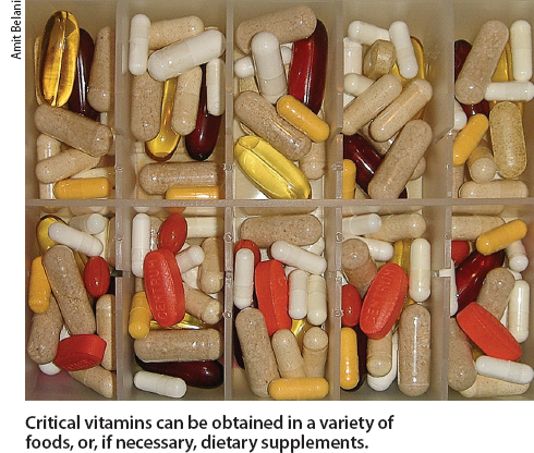 Critical vitamins can be obtained in a variety of foods, or, if necessary, dietary supplements.