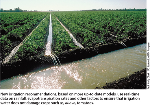 New irrigation recommendations, based on more up-to-date models, use real-time data on rainfall, evapotranspiration rates and other factors to ensure that irrigation water does not damage crops such as, above, tomatoes.