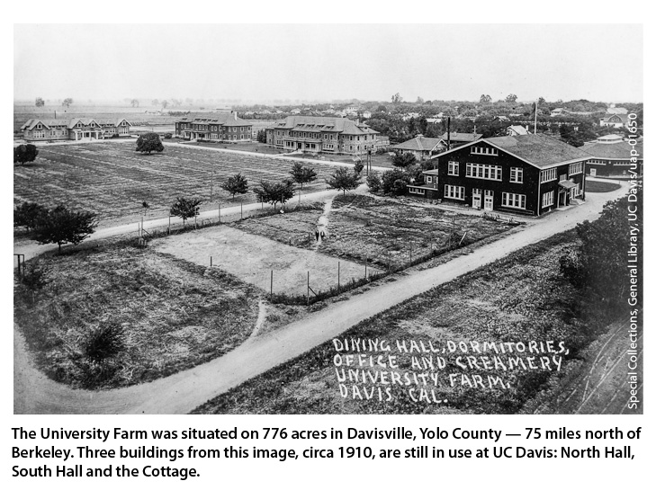 The University Farm was situated on 776 acres in Davisville, Yolo County — 75 miles north of Berkeley. Three buildings from this image, circa 1910, are still in use at UC Davis: North Hall, South Hall and the Cottage.