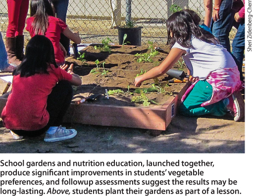 School gardens and nutrition education, launched together, produce significant improvements in students' vegetable preferences, and followup assessments suggest the results may be long-lasting. Above, students plant their gardens as part of a lesson.