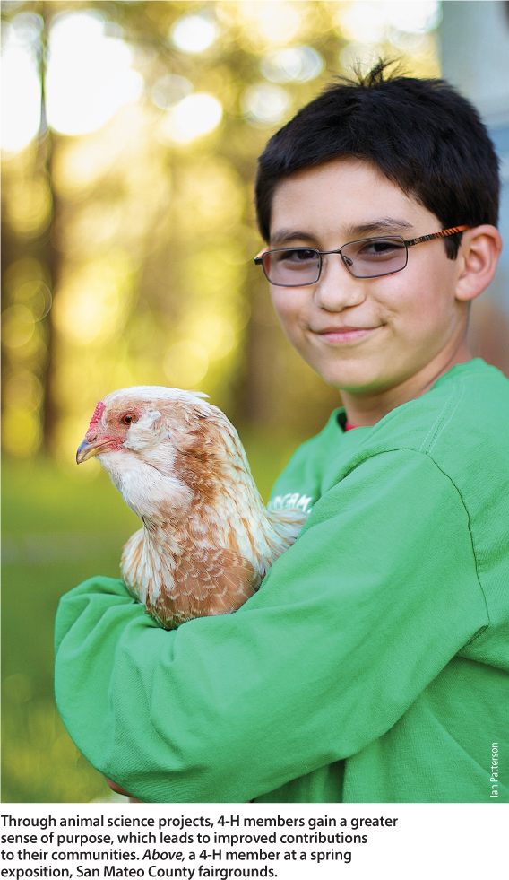 Through animal science projects, 4-H members gain a greater sense of purpose, which leads to improved contributions to their communities. Above, a 4-H member at a spring exposition, San Mateo County fairgrounds.