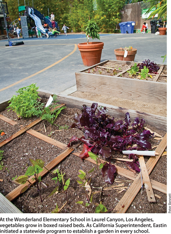 At the Wonderland Elementary School in Laurel Canyon, Los Angeles, vegetables grow in boxed raised beds. As California Superintendent, Eastin initiated a statewide program to establish a garden in every school.