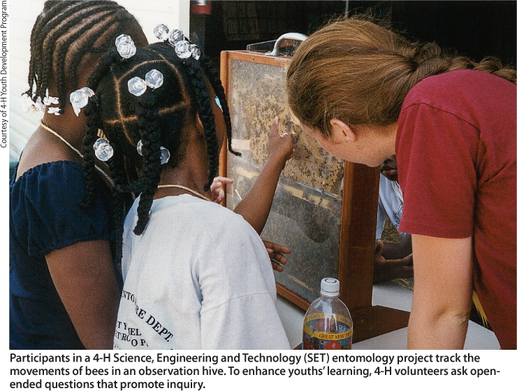 Participants in a 4-H Science, Engineering and Technology (SET) entomology project track the movements of bees in an observation hive. To enhance youths' learning, 4-H volunteers ask open-ended questions that promote inquiry.