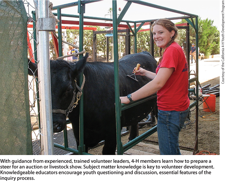 With guidance from experienced, trained volunteer leaders, 4-H members learn how to prepare a steer for an auction or livestock show. Subject matter knowledge is key to volunteer development. Knowledgeable educators encourage youth questioning and discussion, essential features of the inquiry process.