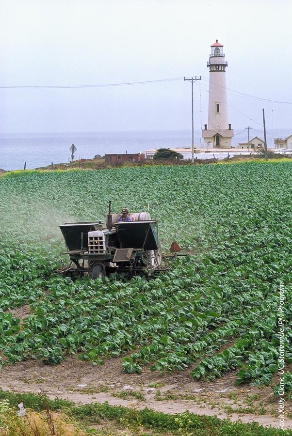 Tractor applies fertilizer to cole crop plants near Pigeon Point Lighthouse, San Mateo County. Nitrogen fertilizer is an essential resource for agriculture, but its overuse can threaten human health and the environment.