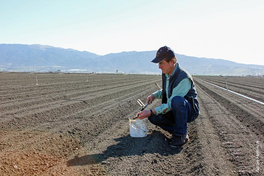 Richard Smith, UC Cooperative Extension farm advisor in Monterey County, tests for nitrogen. Salinas Valley is one of two pilot areas studied in a report on nitrate to the California Legislature.