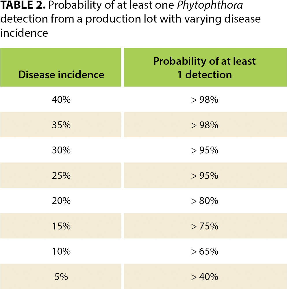 Probability of at least one Phytophthora detection from a production lot with varying disease incidence