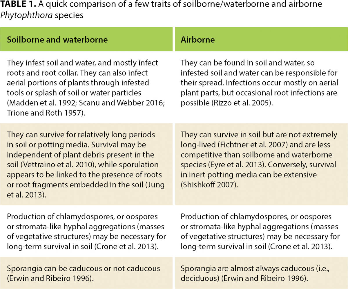 A quick comparison of a few traits of soilborne/waterborne and airborne Phytophthora species