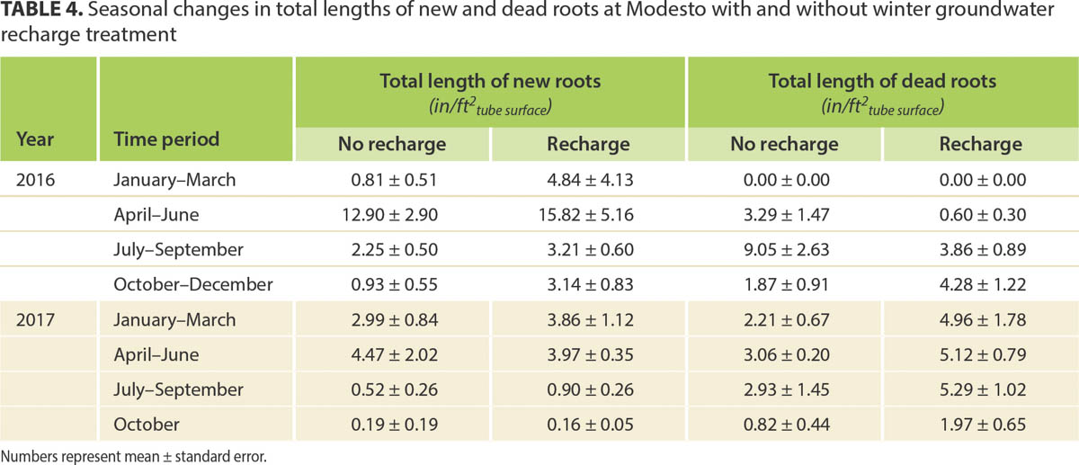 Seasonal changes in total lengths of new and dead roots at Modesto with and without winter groundwater recharge treatment