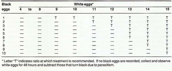 Adjustment of treatment threshold for tomato fruitworm using the number of black and white eggs present in samples of 30 tomato leaves