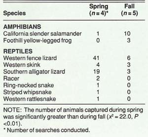 Numbers of amphibians and reptiles captured during time-constraint searches, Sierra Foothill Range Field Station, spring and fall 1988