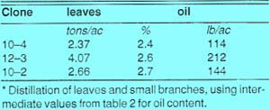 Oil content and estimated per-acre oil yields for 3 clones from table 2 (estimates are from the 1988-89 crop damaged in the February 1989 freeze; test blocks planted at 4,800 trees/acre)*.
