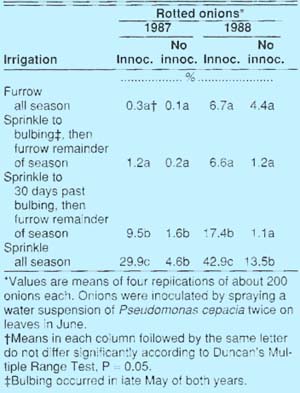Effect of sprinkler and furrow irrigation on sour skin rot incidence in onion, Fresno County