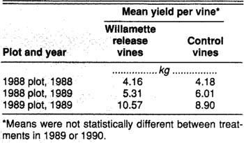 Mean yield for Zinfandel vines with and without Willamette mites for the 1988 and 1989 field plots, Racco vineyard