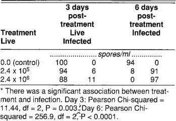 Number of live and infected wingless adult female A. gossypii aphids 3 and 6 days after applying two concentrations of V. lecanii, an aphid-pathogenic fungus*