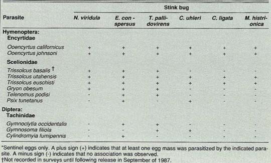 Survey of parasites of stink bugs In Northern California 1987-89*