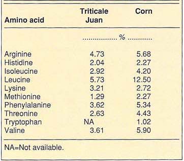 Essential amino acids in triticale and corn as a percentage of total protein calculated from data in table 1