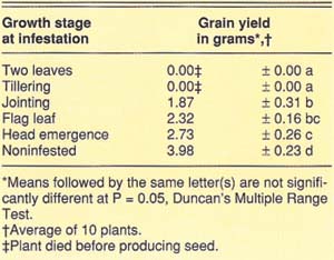 Mean (± S. E.) grain yields (g) from greenhouse-grown wheat plants infested with RWA at five different growth stages