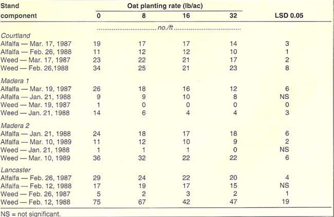 Alfalfa and weed densities in relation to oat seeding rate, location, and date 