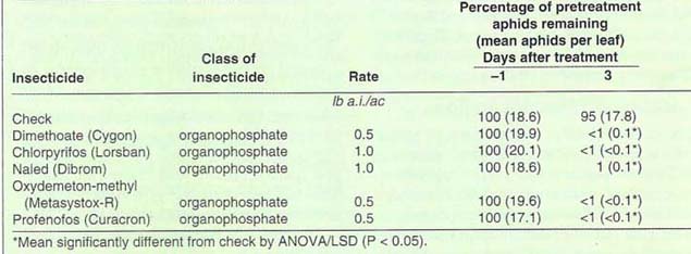 Percentage of pretreatment aphid densities, Aphis gossypii, remaining for each pesticide treatment in a field trial conducted in Shatter, California, August 19, 1988