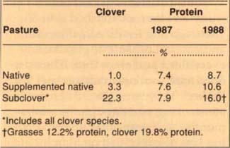 Average clover percentage, 1986–1988, and percentage forage protein, 1987 and 1988, for each pasture type