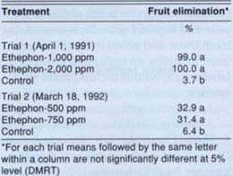 Effects of ethephon on nuisance fruit elimination in liquidambar, 1991 and 1992
