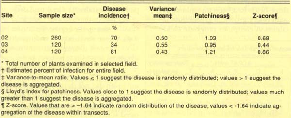 Incidence and distribution of bacterial blight in three Salinas Valley celery fields, November 1989