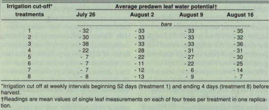 Predawn leaf water potentials of Nonpareil cultivar almond trees, Kern County, 1991