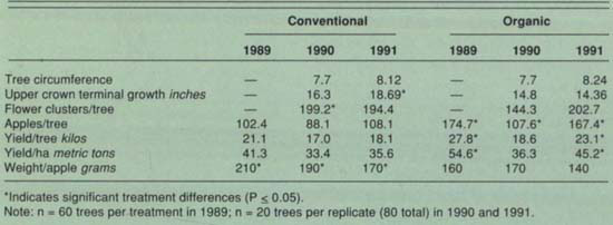 Mean growth, yield factors and yields, apple conversion study, Watsonville, CA, 1989–1991