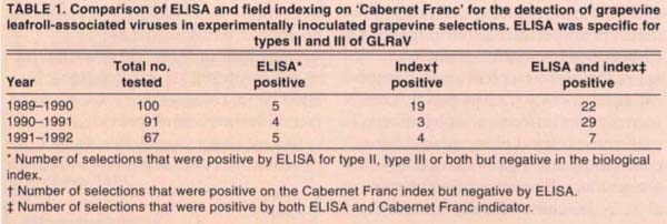 Comparision of ELISA and field indexing on ‘Cabernet Franc’ for the detection of grapevine leafroll-associated viruses in experimentally inoculated grapevine selections. ELISA was specific for types II and III of GLRaV