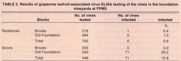 Results of grapevine leafroll-associated virus ELISA testing of the vines in the foundation vineyards at FPMS