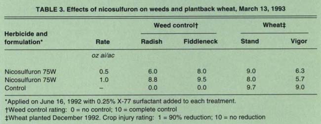 Effects of nicosulfuron on weeds and plantback wheat, March 13, 1993
