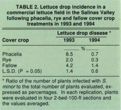 Lettuce drop incidence in a commercial lettuce field in the Salinas Valley following phacelia, rye and fallow cover crop treatments in 1993 and 1994