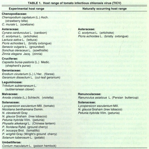 Host range of tomato infectious chlorosis virus (TICV)