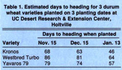 Estimated days to heading for 3 durum wheat varieties planted on 3 planting dates at UC Desert Research & Extension Center, Holtville