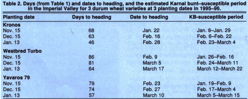 Days (from Table 1) and dates to heading, and the estimated Karnal bunt-susceptible period in the Imperial Valley for 3 durum wheat varieties at 3 planting dates in 1995–96.