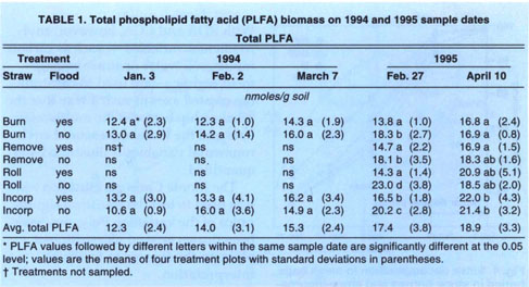 Total phospholipid fatty acid (PLFA) biomass on 1994 and 1995 sample dates Total PLFA