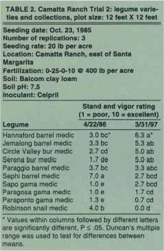 Camatta Ranch Trial 2: legume varieties and collections, plot size: 12 feet X 12 feet
