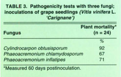 Pathogenicity tests with three fungi; inoculations of grape seedlings (Vitis vinifera L. ‘Carignane’)