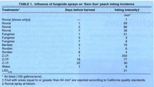 Influence of fungicide sprays on ‘Kern Sun’ peach inking incidence