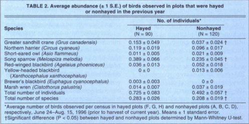 Average abundance (± 1 S.E.) of birds observed in plots that were hayed or nonhayed in the previous year