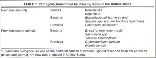 Pathogens transmitted by drinking water in the United States