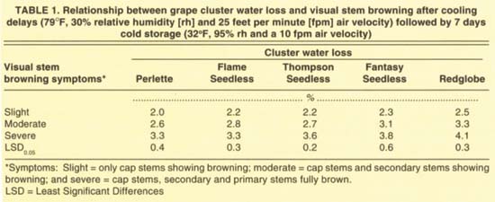 Relationship between grape cluster water loss and visual stem browning after cooling delays (79°F, 30% relative humidity [rh] and 25 feet per minute [fpm] air velocity) followed by 7 days cold storage (32°F, 95% rh and a 10 fpm air velocity)
