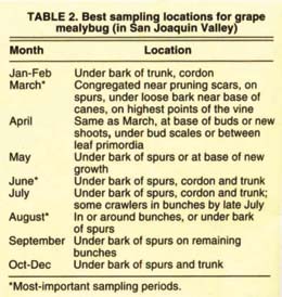 Best sampling locations for grape mealybug (in San Joaquin Valley)