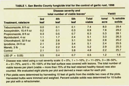 San Benito County fungicide trial for the control of garlic rust, 1998