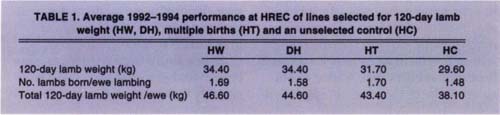 Average 1992-1994 performance at HREC of lines selected for 120-day lamb weight (HW, DH), multiple births (HT) and an unselected control (HC)
